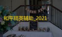 和平精英辅助_2021最新和平精英辅助_ch和平精英辅助